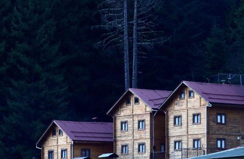 Ayder Yaylasi Ski Chalet | İnka Dağ Evi