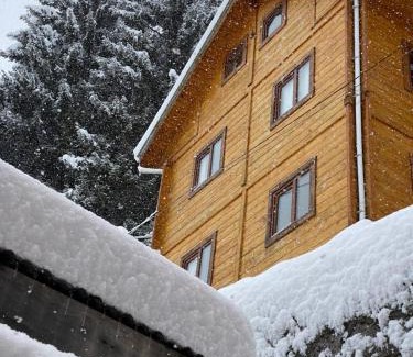 Ayder Yaylasi Ski Chalet | İnka Dağ Evi