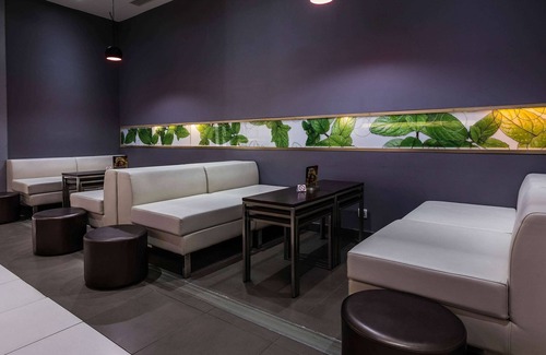 Mansourah Hotel | ibis Tlemcen