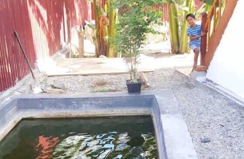 Palu House | Comfortable, Great and Cheap