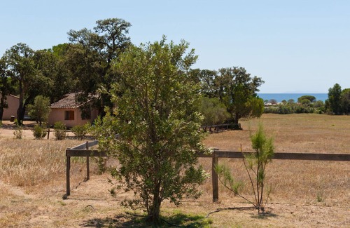 Hameau de Palombaggia House | Ideal villa for nature and beach lovers, 200m from the magnificent Palombaggia!