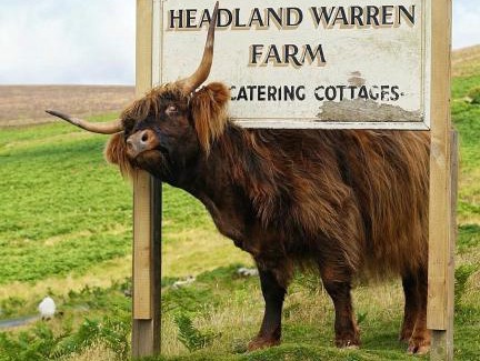 Heligan House | Idyllic Dartmoor Cottage