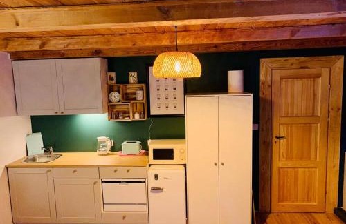Dzwierzuty Apartment | Igły i szyszki