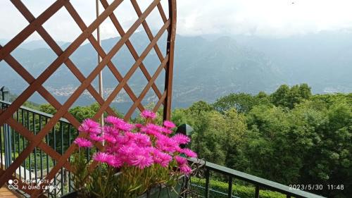 Magreglio Apartment | IL BALCONE SUL LAGO
