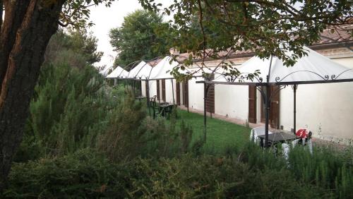 Monteroni d'Arbia Bed & Breakfast | Il Canto del Sole