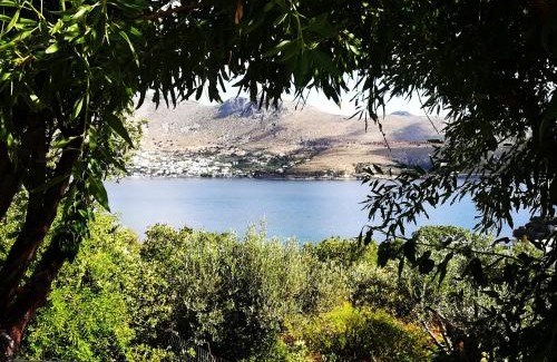 Leros House | Il Canto delle Cicale
