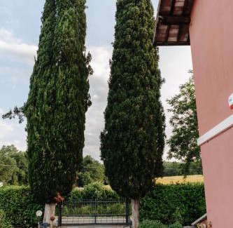 Montorsaio Apartment | Il Casale delle Rose