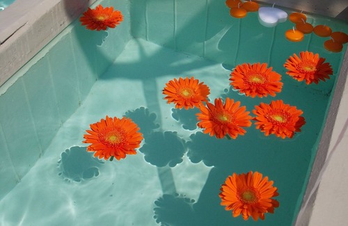 Fiume Veneto House | Il Casale di Giò, for a stay immersed in nature