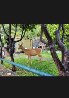 Pieve Ligure Bed & Breakfast | Il Gabbiano Di Pieve
