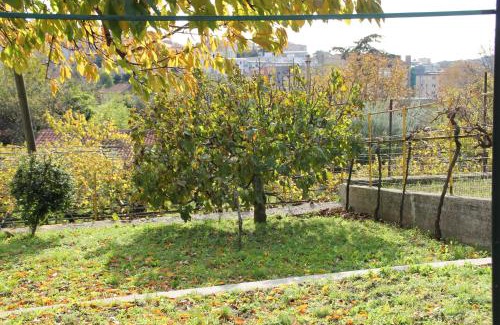 Servola-Chiarbola-Valmaura-Borgo San Sergio House | Il Gelsomino
