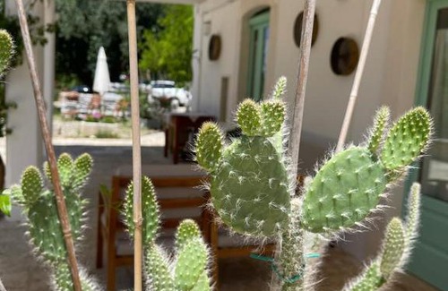 Ceglie Messapica Villa | Il Giardino degli Antichi Sapori