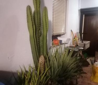 Mirandola House | Il Giardino dei Pico