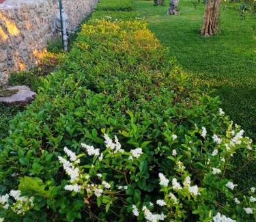Paestum Apartment | Il Giardino di Athena 1