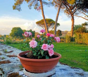 Paestum Apartment | Il Giardino di Athena 1