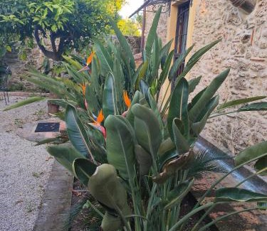 Paestum Apartment | Il Giardino di Athena 1