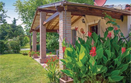 Calcinaia House | Il Kiwi