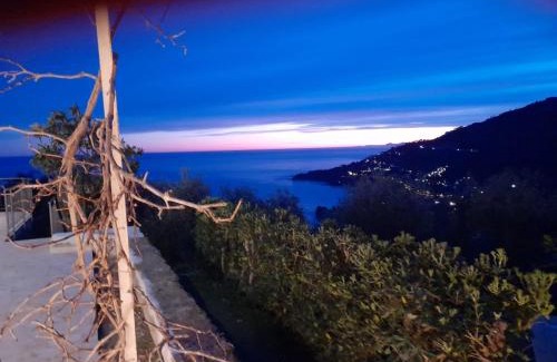 Latte House | Il mare tra gli olivi