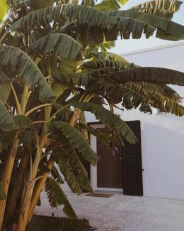 Veglie Bed & Breakfast | Il Negramaro