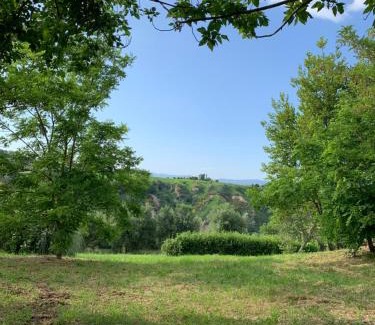 Calvi di Umbria Villa | IL PAGO