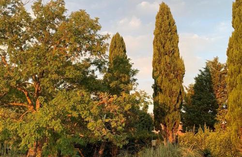 Calvi di Umbria Villa | IL PAGO