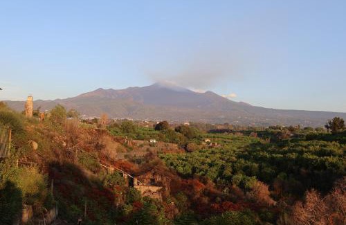 Archi Other | Il Pampaleone Glamping and Resort