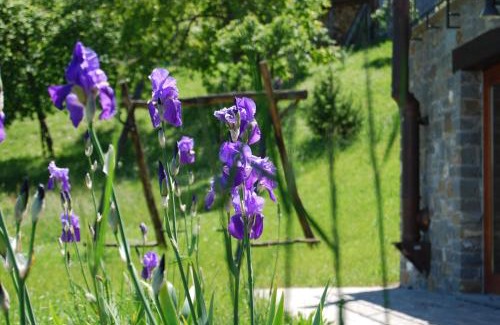 Albareto Apartment | Il Paradiso monolocale Cottage