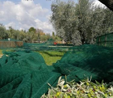 Roccastrada House | Il Podere di Sole
