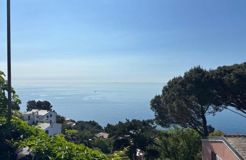 Arenzano Bed & Breakfast | Il Quadrifoglio