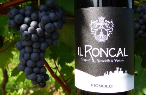 Gagliano House | Il Roncal Wine Resort - for Wine Lovers