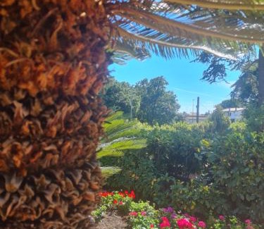 Valcanneto Bed & Breakfast | Il Sogno delle Rondini