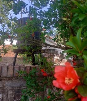 Rifreddo Bed & Breakfast | Il Sottobosco