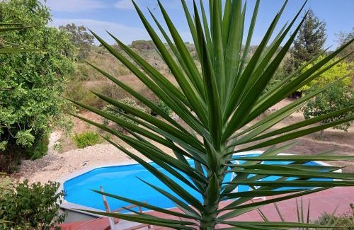 Usini House | Il Verdone