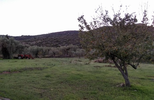 Galaxidi Apartment | ILIA ART SUITES & ESTATE