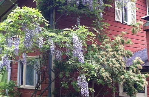 Bearsville House | Imagine The Woodstock House