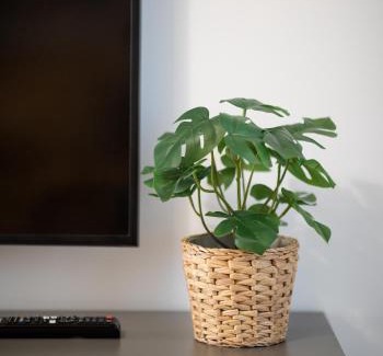 Aviatiei Apartment | Imedio Velvet Apartment Aviatiei