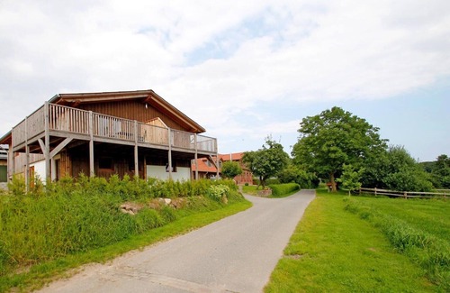 Brarupholz Apartment | In a fabulous secluded location in beautiful Angeln, you will find our cozy vacation apartment "Cinderella" in a modern country house style and a large, well-kept outdoor area with various play options