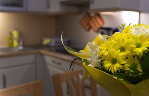 Ottakring Apartment | In ein Fleger Appartement Kommt Jeder ein Wenig wie Nach Hause!