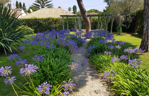 Cap-d'Antibes Apartment | IN THE HEART OF CAP D'ANTIBES Near the Garoupe beaches
