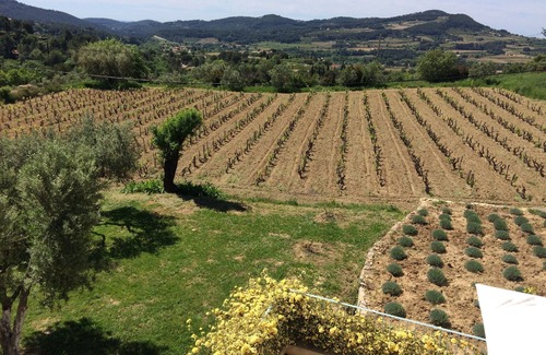 Le Castellet Villa | In the heart of the Bandol vineyards charming sunny villa Provencal