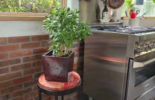 Mancos House | In Town - Peaceful, Eclectic Casita with Fire Pit