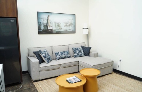 North Oakland Apartment | Ind Loft Children's Hospital Shadyside Oakland 4