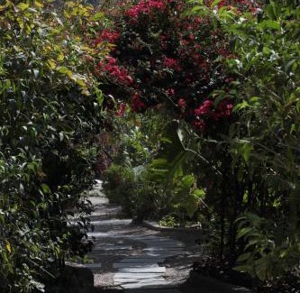 Tapovan Hostel | Indian Culture