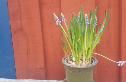 Karlshamn Bed & Breakfast | Innergårdens Bed and Breakfast