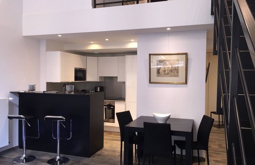 Petite-France Apartment | Inside the beautiful historic center of Strasbourg duplex loft