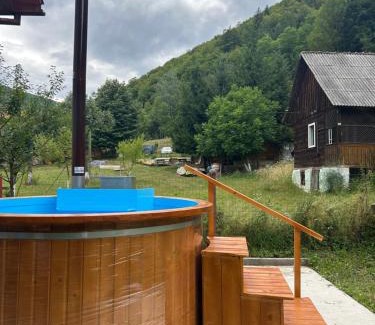 Vidra House | Insieme