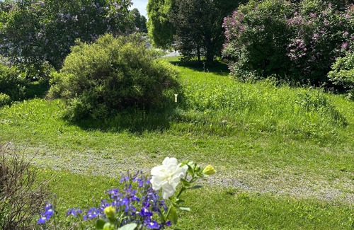 Kemi Apartment | Interesting Kemi Apartment with Sauna department & Free Parking