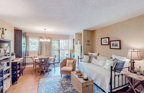 Lake Lure Apartment | Inviting studio with pool, tennis, hot tub, kitchenette, & private sunny balcony