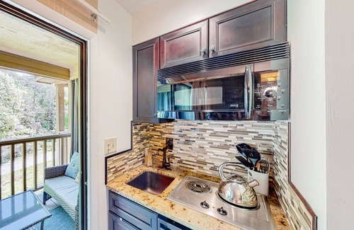 Lake Lure Apartment | Inviting studio with pool, tennis, hot tub, kitchenette, & private sunny balcony