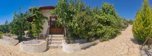 Germencik House | Ionia Guest House