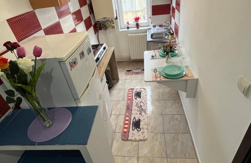 Tulcea Apartment | Iove Flat